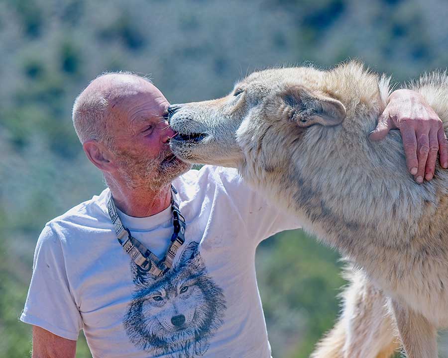 Photo of Bill Chamberlain, the curator of the US Wolf Refuge
